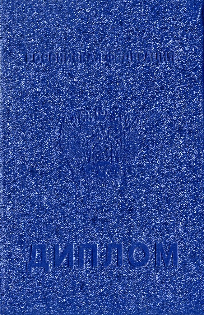 Диплом техникума 2009-2010 года