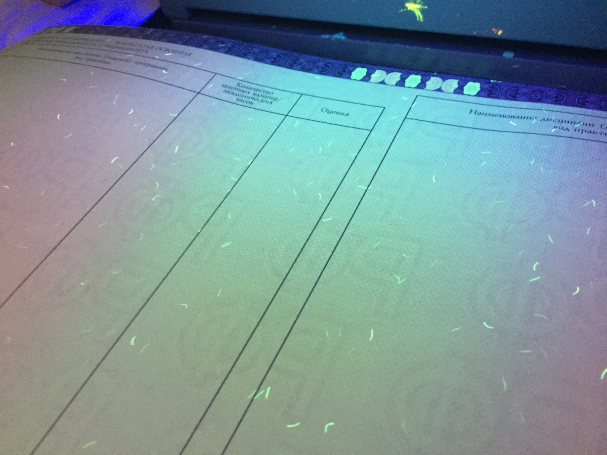 Диплом магистра с 2014-2022 года (МПФ Гознак)