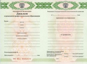 Диплом училища с 2011 по 2013 год