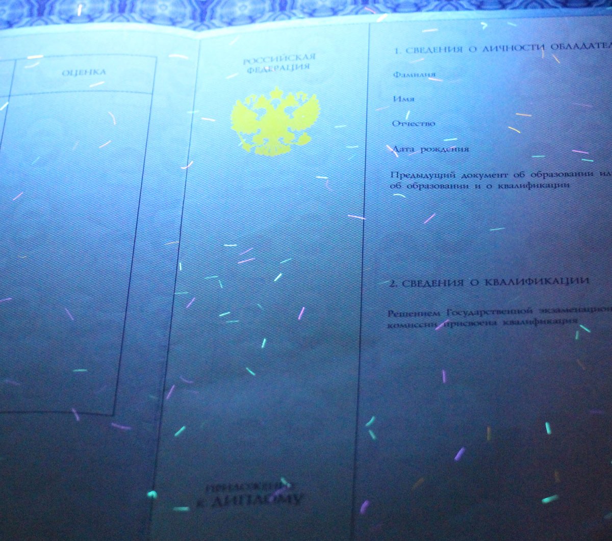 Диплом магистра с отличием 2014-2022 года (МПФ Гознак)