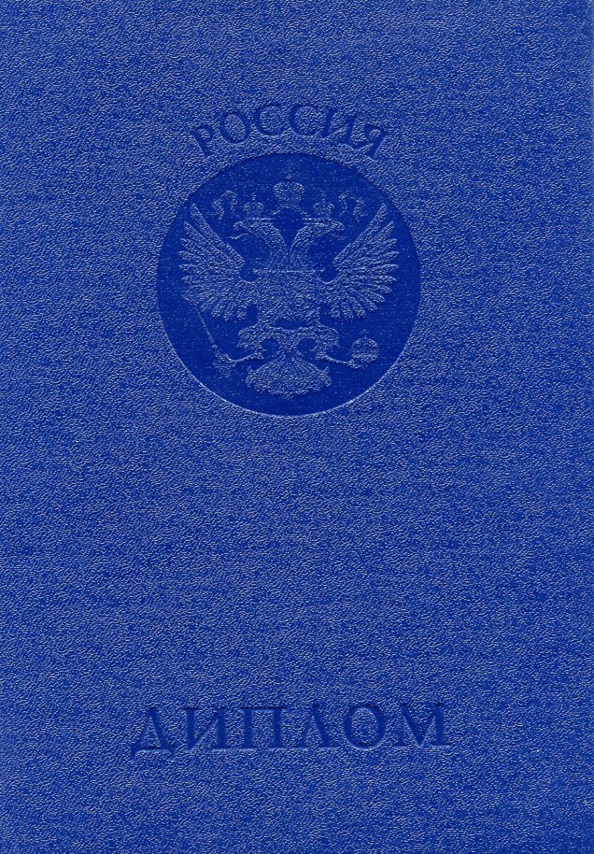 Диплом бакалавра 2004 - 2008 года