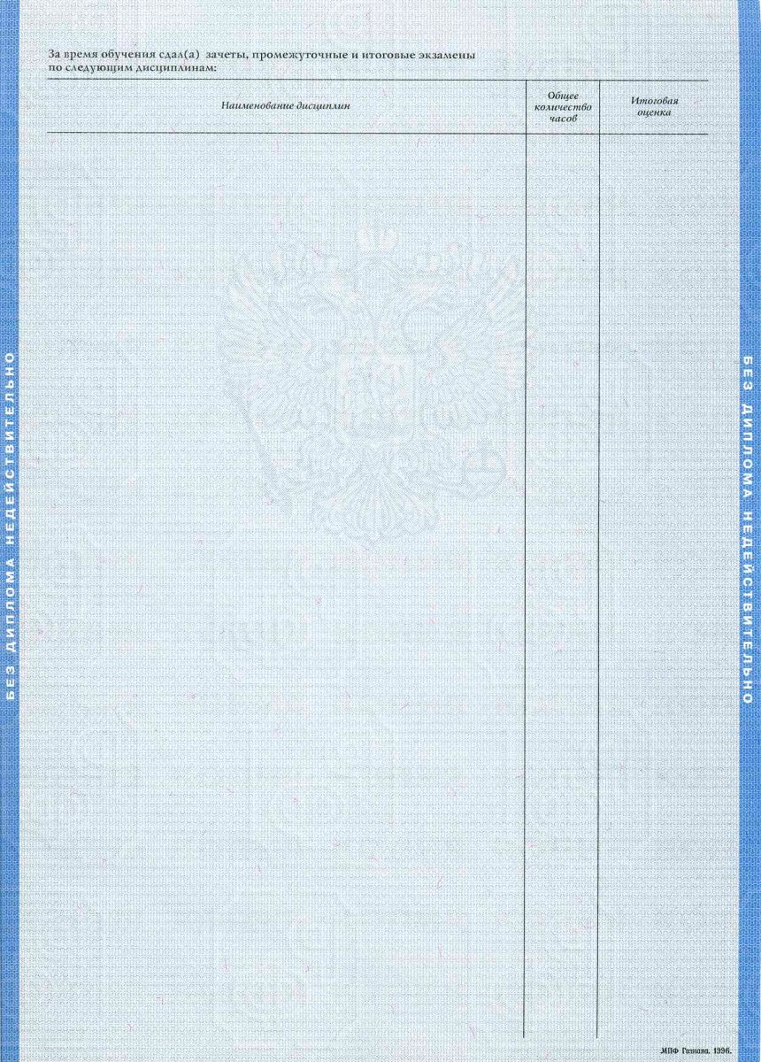 Диплом бакалавра 2004 - 2008 года