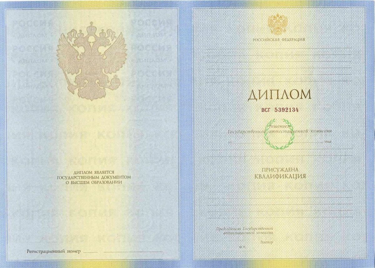 Диплом бакалавра 2009 - 2010 года