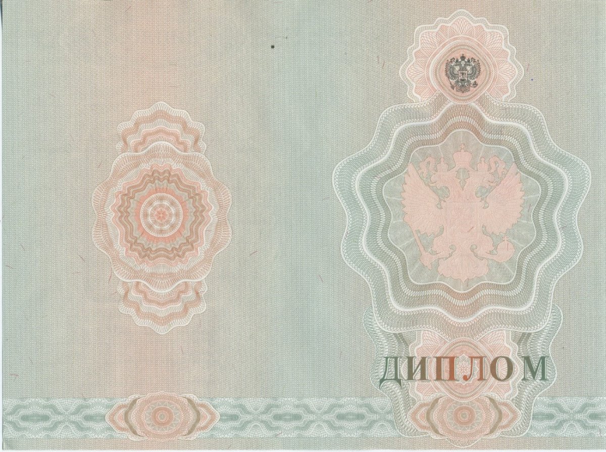 Диплом училища 2007 по 2010 года