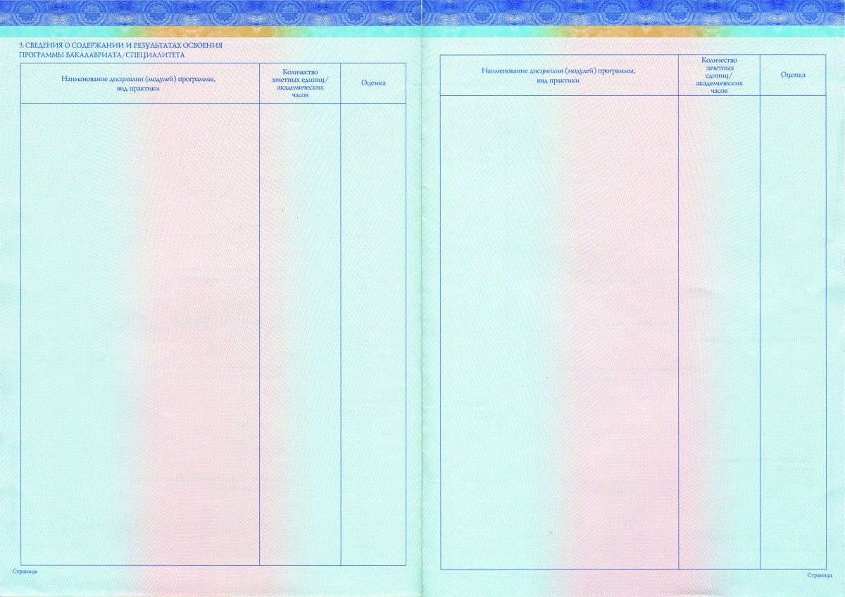 Диплом бакалавра с 2014 года (СпецБланк)