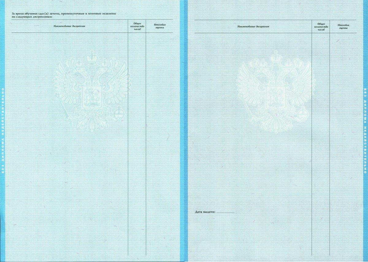 Диплом ВУЗа для иностранных граждан