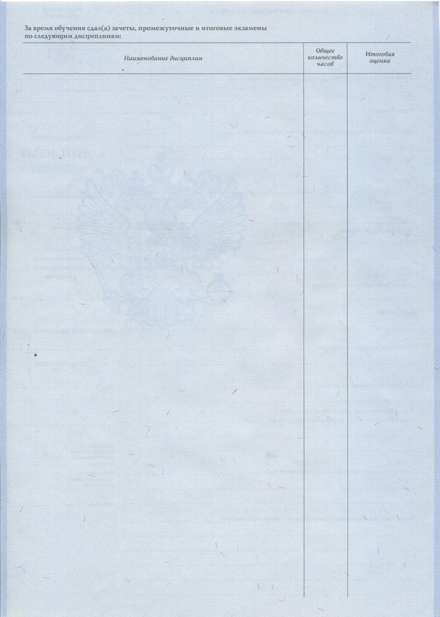 Диплом училища 2007 по 2010 года