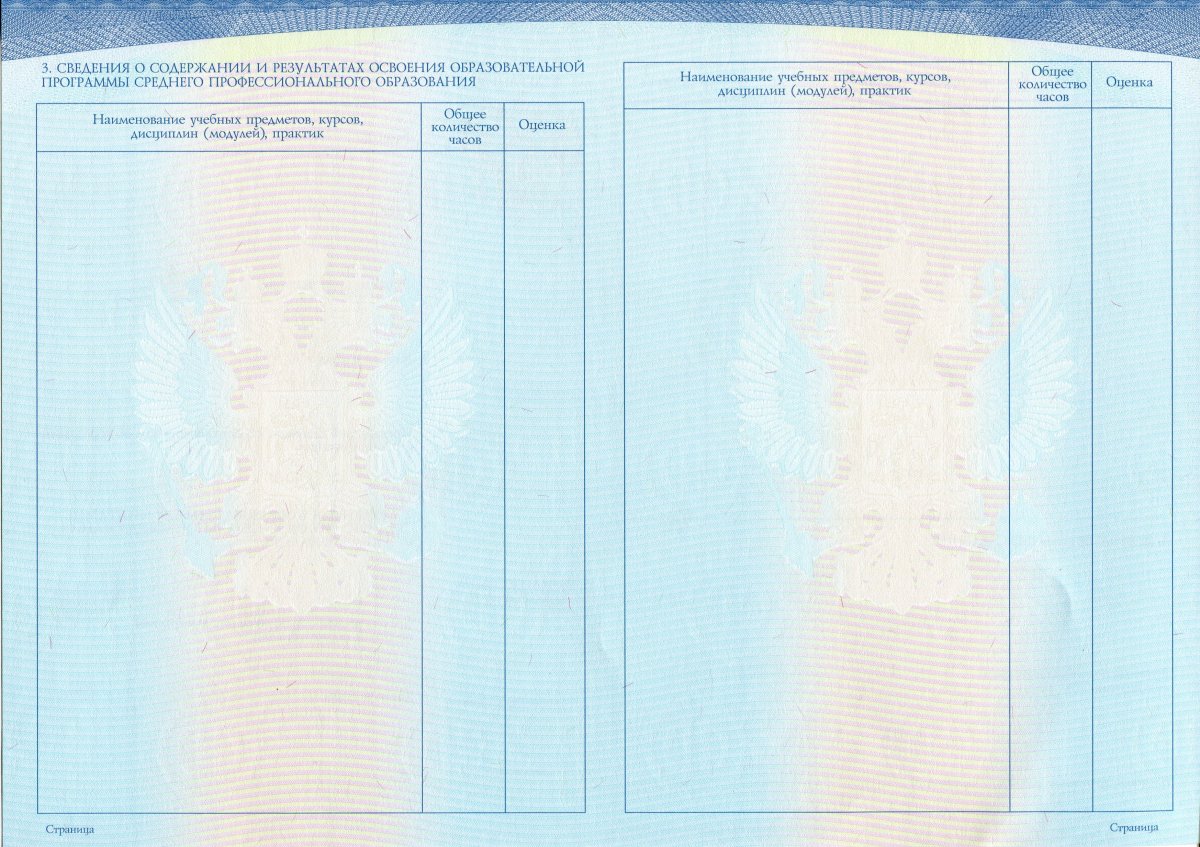 Диплом техникума 2014-2022 года