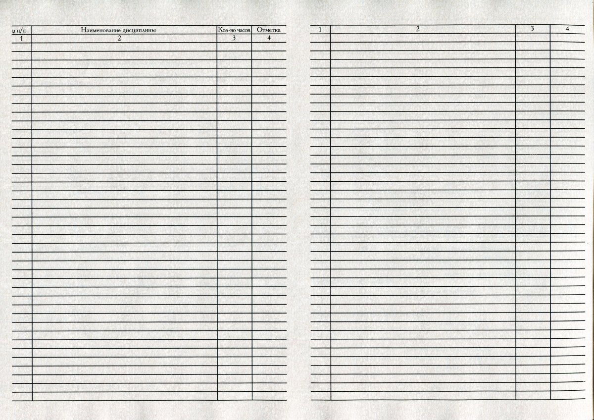 Диплом Белорусского ВУЗа до 2011 года