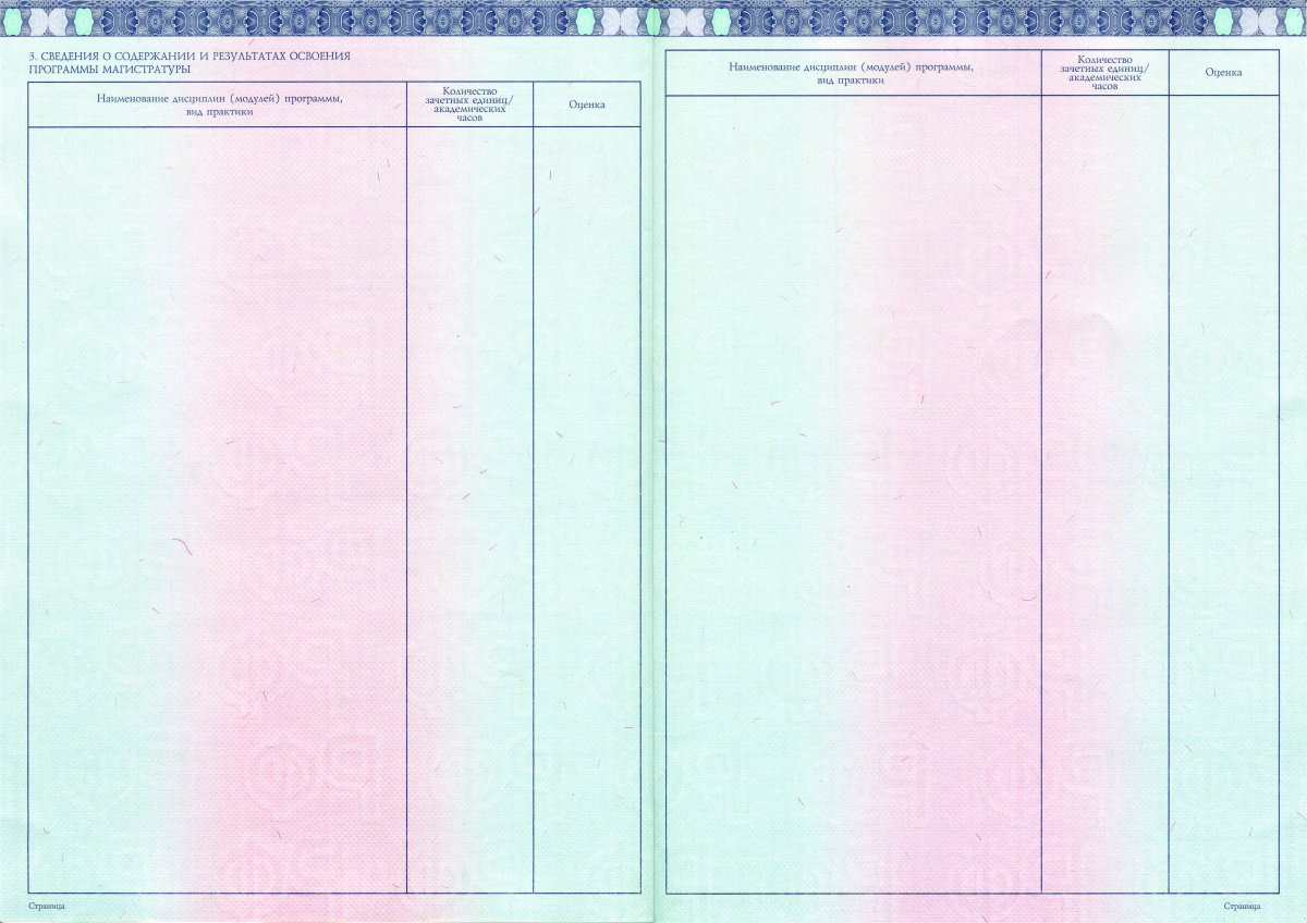 Диплом ВУЗа с 2014 по 2022 года (Гознак)