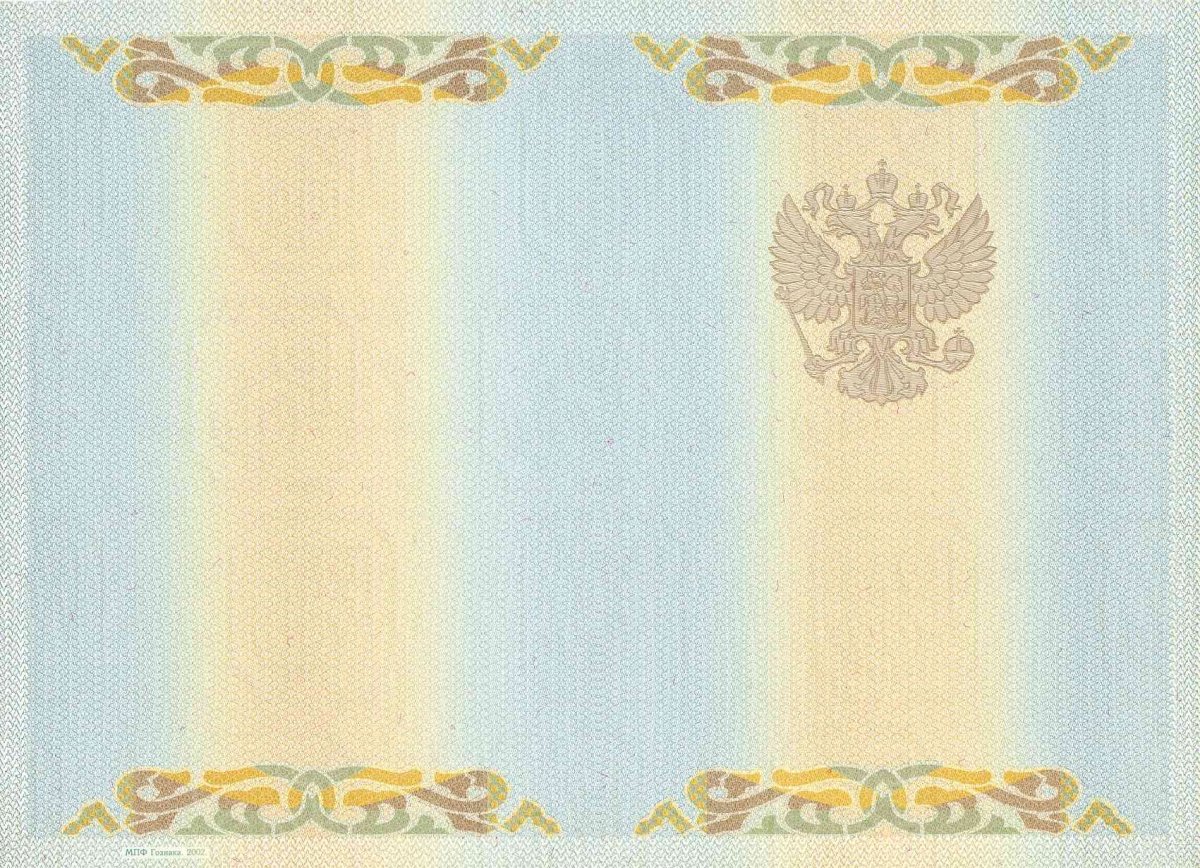 Диплом бакалавра 2004 - 2008 года