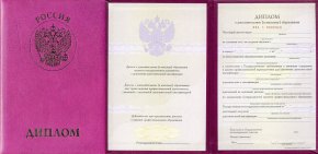 Диплом о дополнительном к высшему с 2011