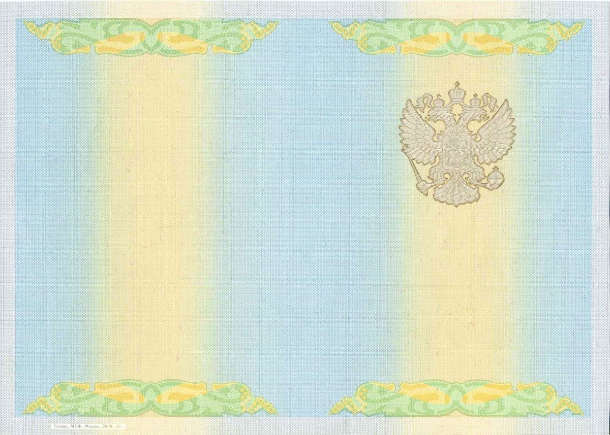 Диплом бакалавра 2009 - 2010 года