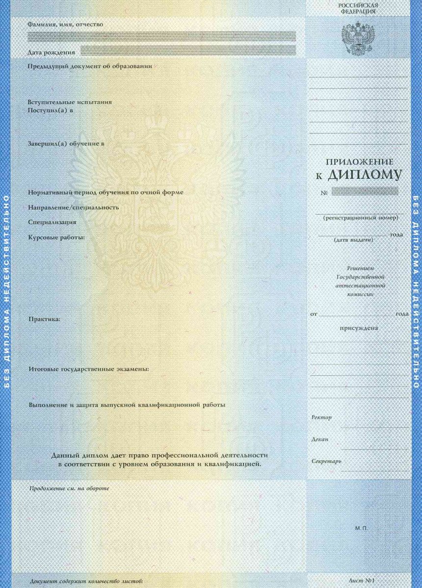 Диплом бакалавра 2004 - 2008 года