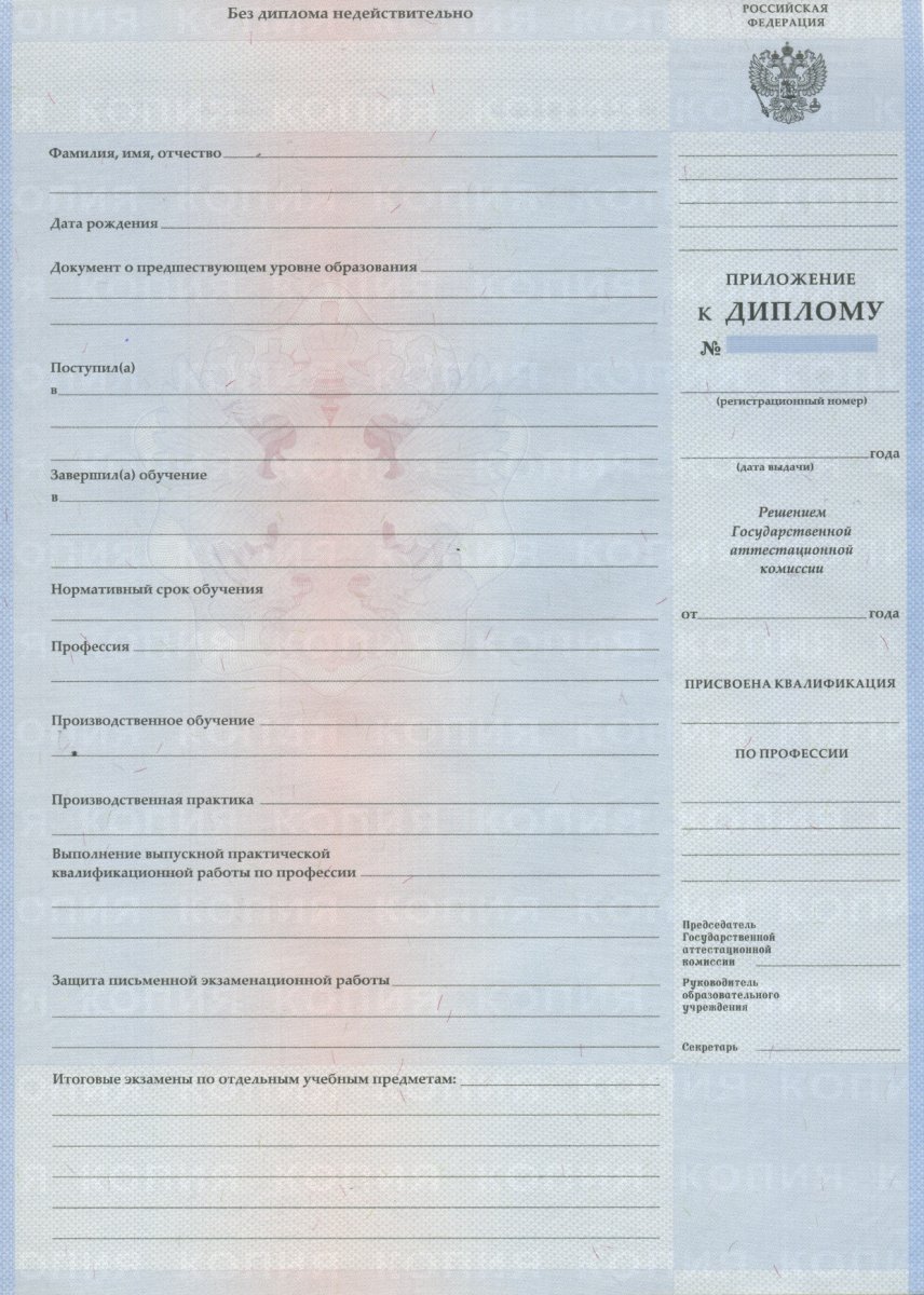 Диплом училища 2007 по 2010 года