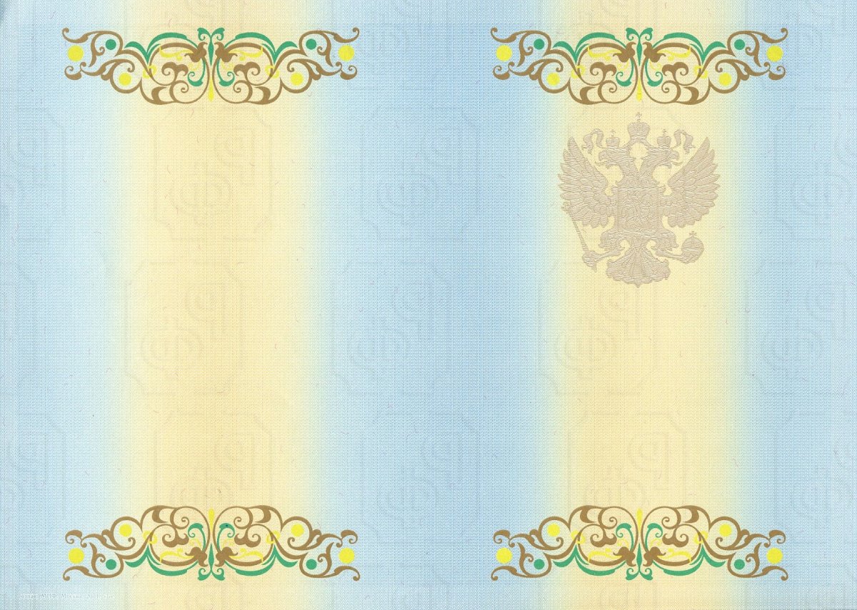 Диплом Магистра 2011-2013 годов