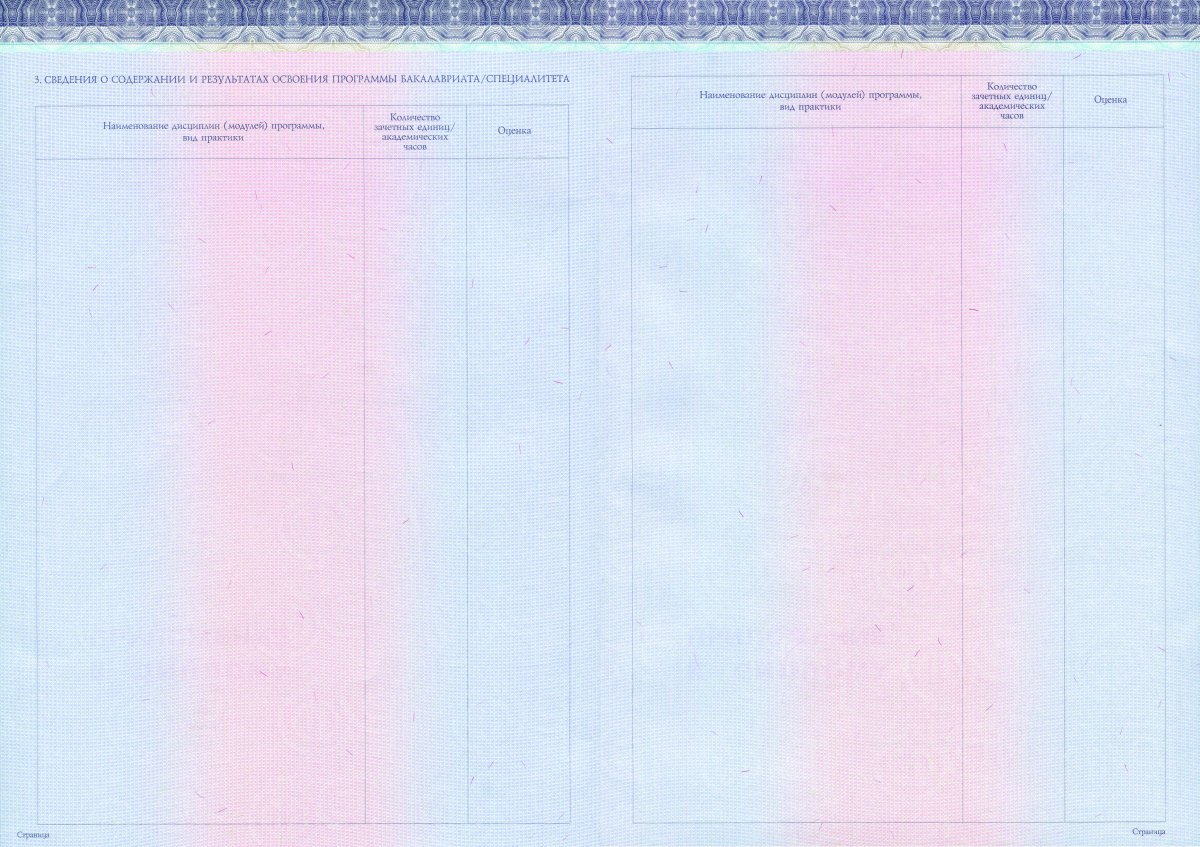Диплом бакалавра с 2014 по 2022 года